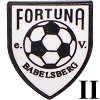Sportgemeinschaft Fortuna Babelsberg II
