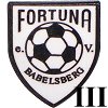 Sportgemeinschaft Fortuna Babelsberg III