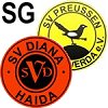 Spielgemeinschaft SV Diana Haida / SV Preußen Elsterwerda