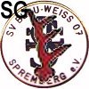 Spielgemeinschaft SV Blau-Weiß Spremberg 1907 / Forst