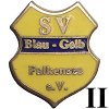 Sportverein Blau-Gelb Falkensee II